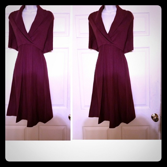joneswear Dresses & Skirts - Joneswear plum knit fit&flare sweater dress